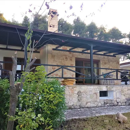 Xenia Stone Βίλα Παλιούρι